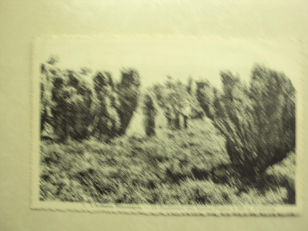 55535 - L'ARDENNE PITTORESQUE - HAUTES FAGNES, Enlèvement ou Envoi