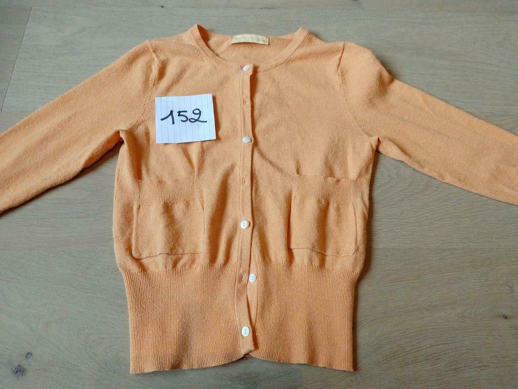 oranje gilet glitter mt 152 Dominique Vereecke, Enlèvement ou Envoi, Pull ou Veste, Utilisé, Dominique Vereecke