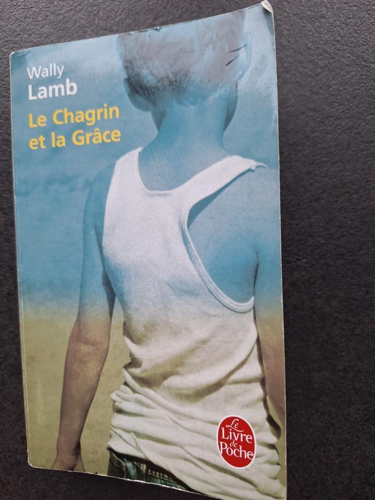 Le chagrin et la grâce - Wally Lamb, Enlèvement ou Envoi, Amérique, Utilisé, Wally Lamb