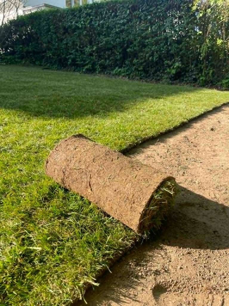 gazon en rouleaux, Jardin & Terrasse, Enlèvement, Neuf, 20 m² ou plus, Herbe