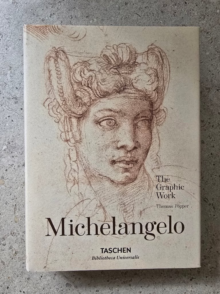 Boek Michelangelo, Boeken, Ophalen, Nieuw