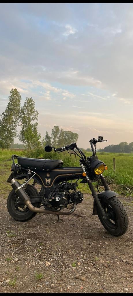 Dax Bluroc 50cc klasse B. Alle papieren in orde., Ophalen