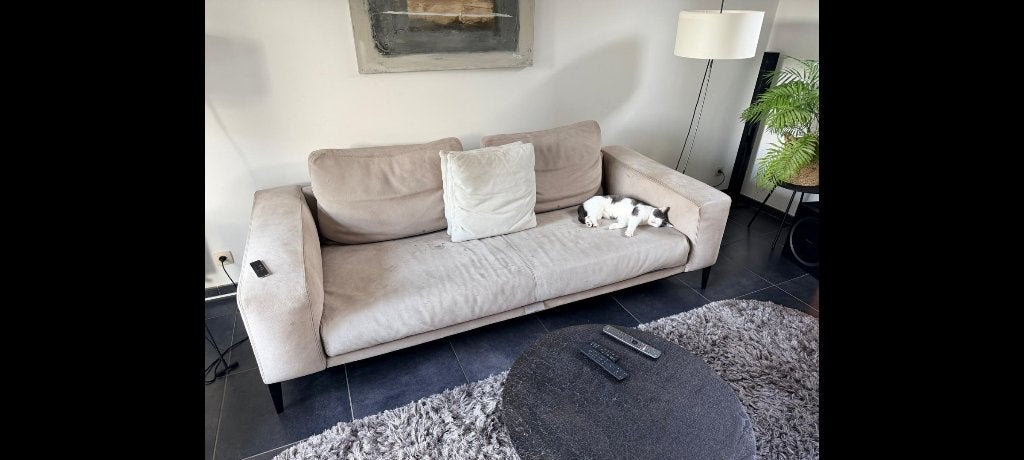 Canapé cuir véritable, Maison & Meubles, Trois personnes, 100 à 125 cm, 200 à 250 cm, Banc droit