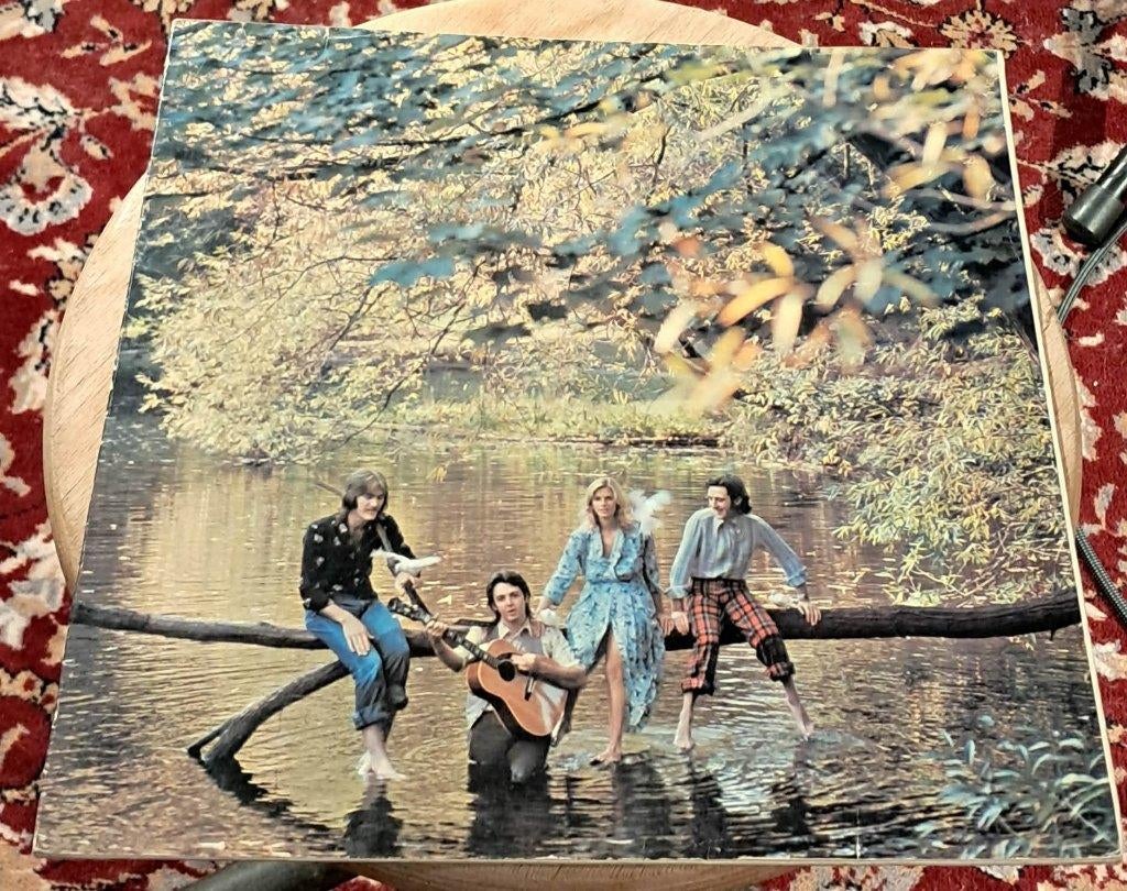 Vleugels - Wild Life, Cd's en Dvd's, Vinyl | Rock, Gebruikt, Ophalen of Verzenden, 1970 - 1979, Rock-'n-Roll