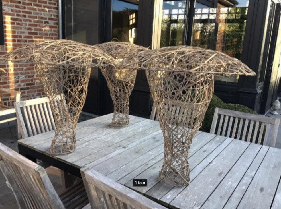 Decoratie champignons in riet en ijzer, Tuin en Terras, Ophalen of Verzenden, Zo goed als nieuw