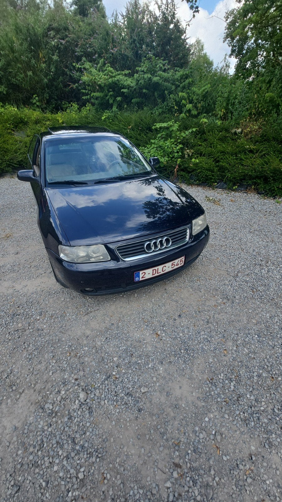 Audi a3 8l 1.9tdi, Voorwielaandrijving, Stof, Beige, 4 cilinders