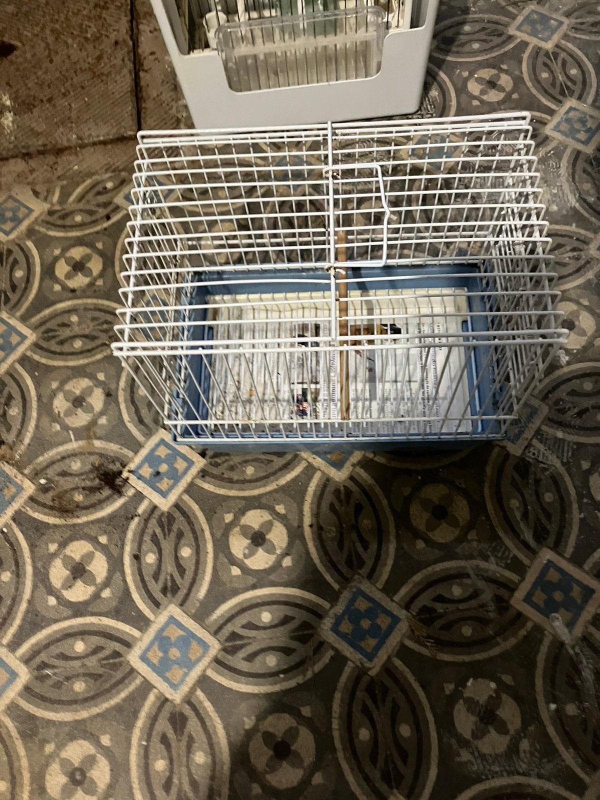 Cages, Ophalen, Zo goed als nieuw