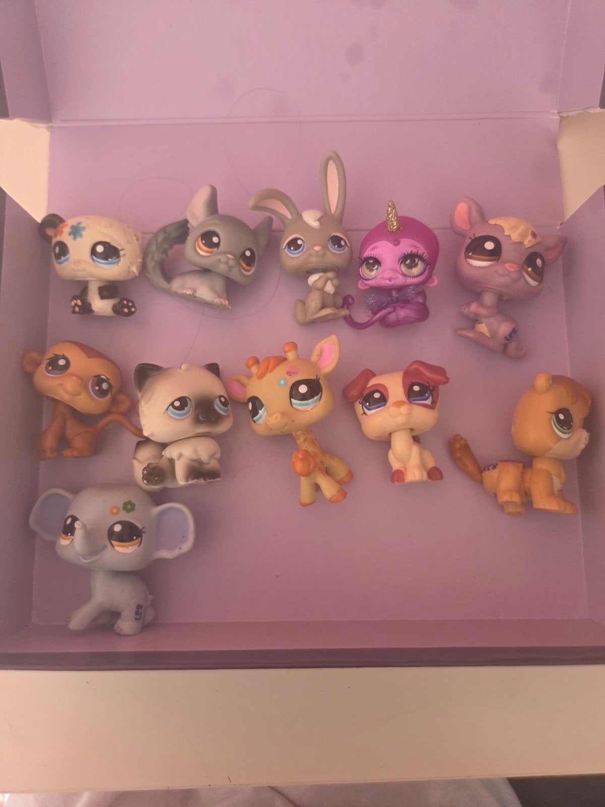 Lots de petshop, Collections, Enlèvement