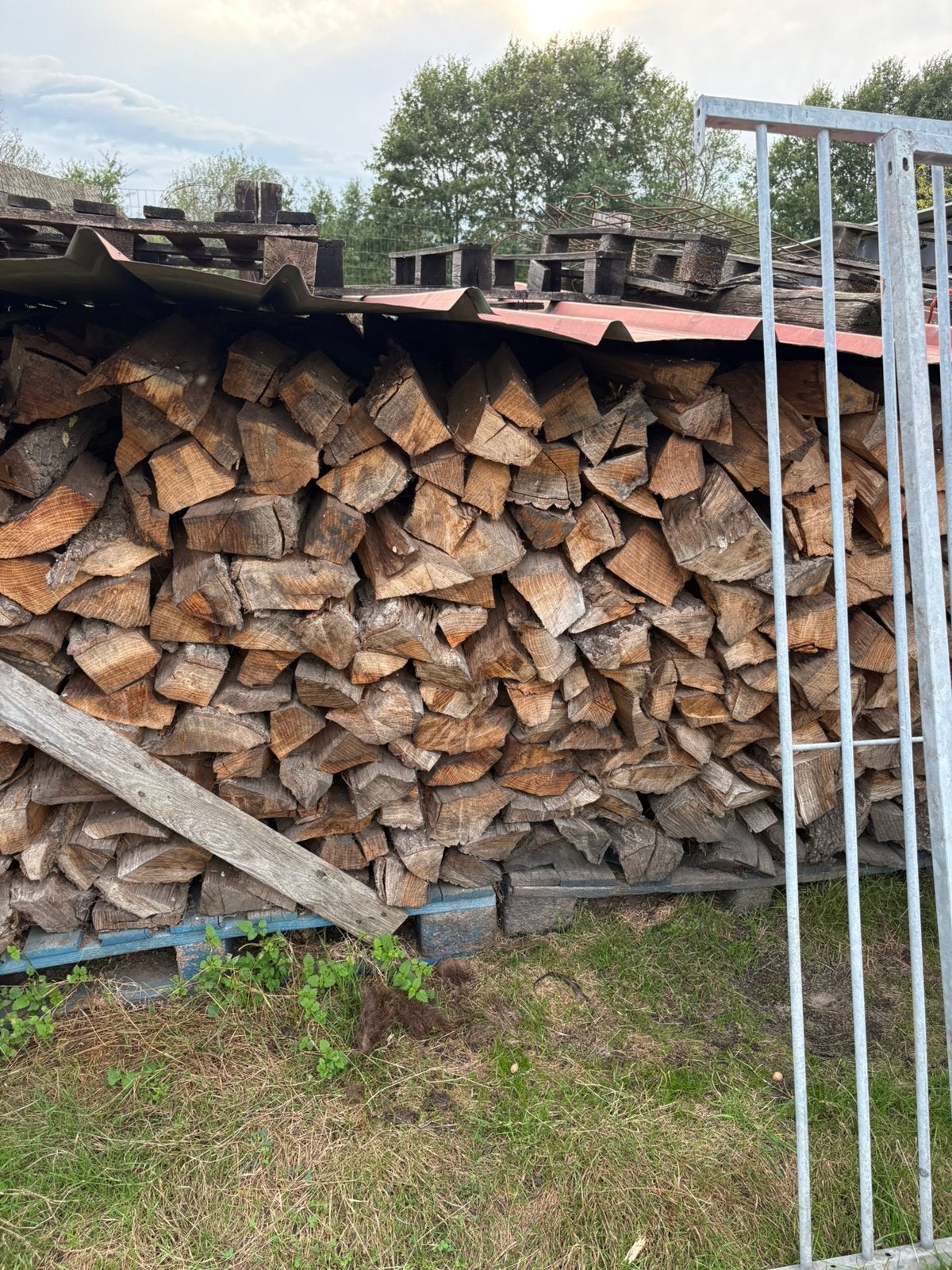 Droge eik brandhout, Enlèvement