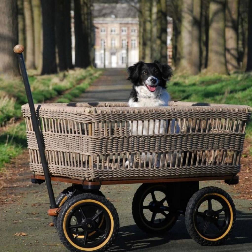 Houtkar / wagon / wagen / handkarren Trade-Winds als nieuwe, Ophalen, Nieuw