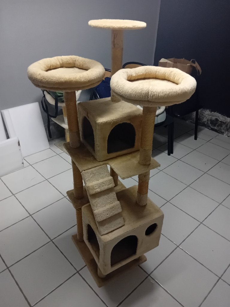 Krappaal kat, Dieren en Toebehoren, Ophalen, Gebruikt