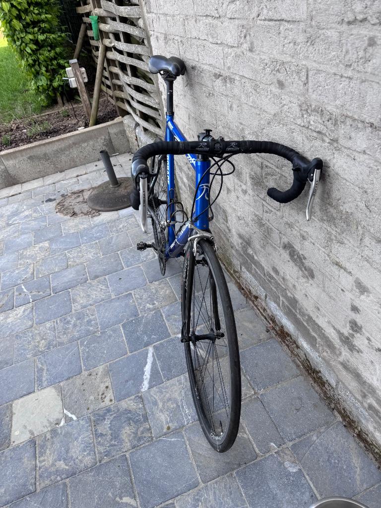 Prorace koersfiets, Gebruikt, Velgrem, 15 tot 20 versnellingen, 61 tot 65 cm