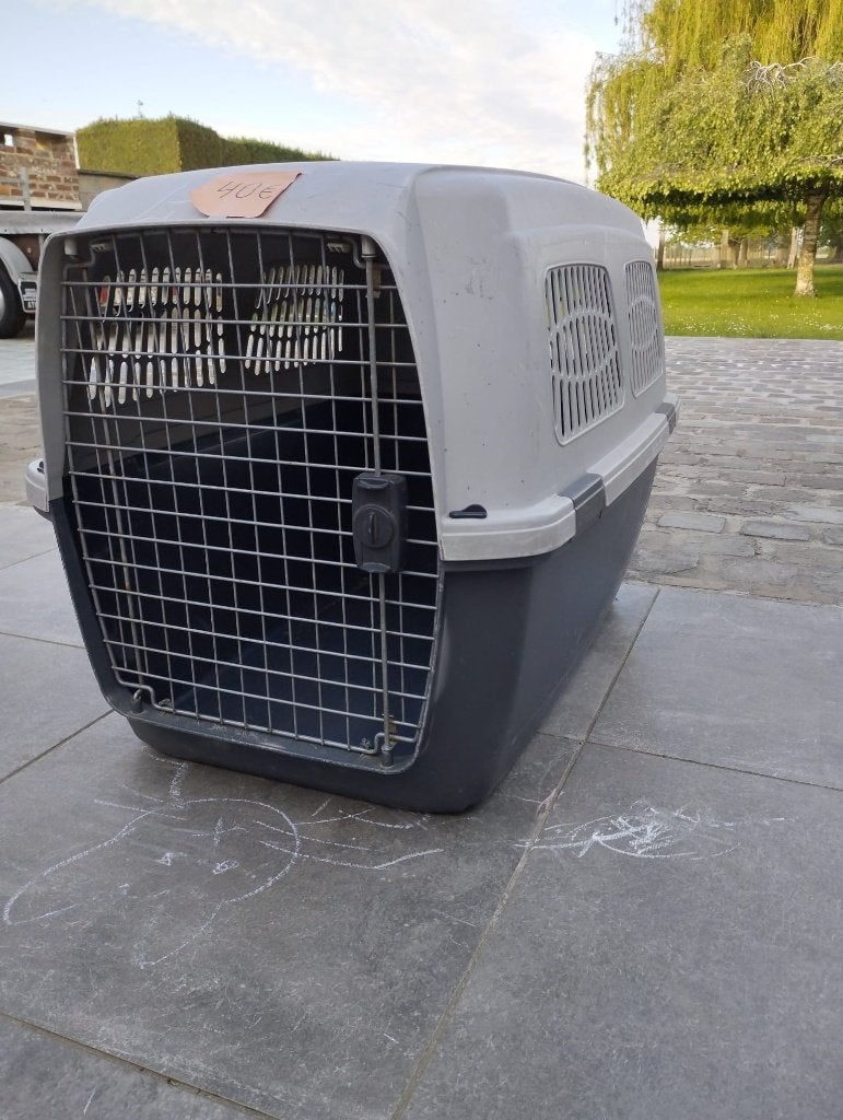 Cage de transport animaux, Animaux & Accessoires, Enlèvement, Utilisé