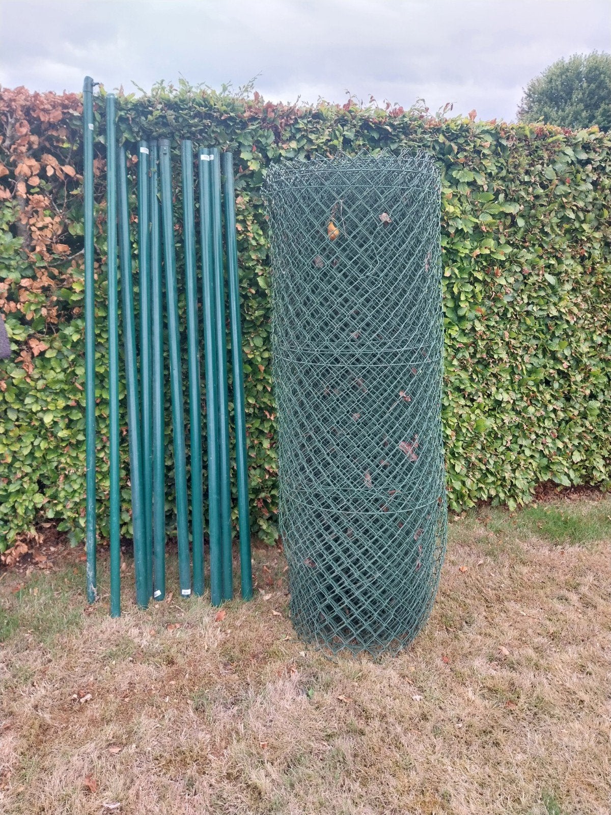 omheining, groene bekaertdraad + palen, Tuin en Terras, Gaas en Draad, Ophalen, Zo goed als nieuw, 20 meter of meer, Raster