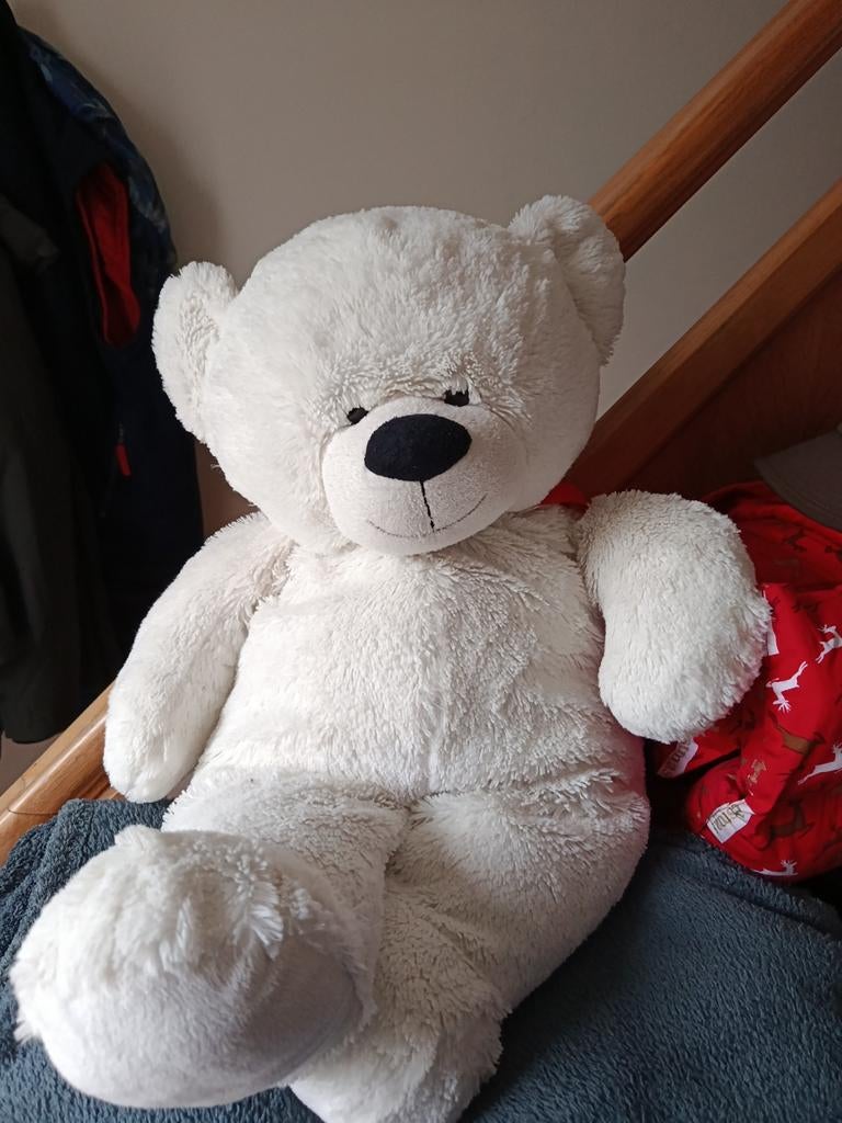 Teddybeer, Enlèvement