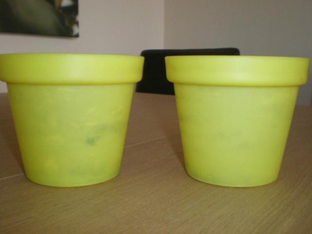 Pots petits pour plantes, Jardin & Terrasse, Enlèvement, Utilisé