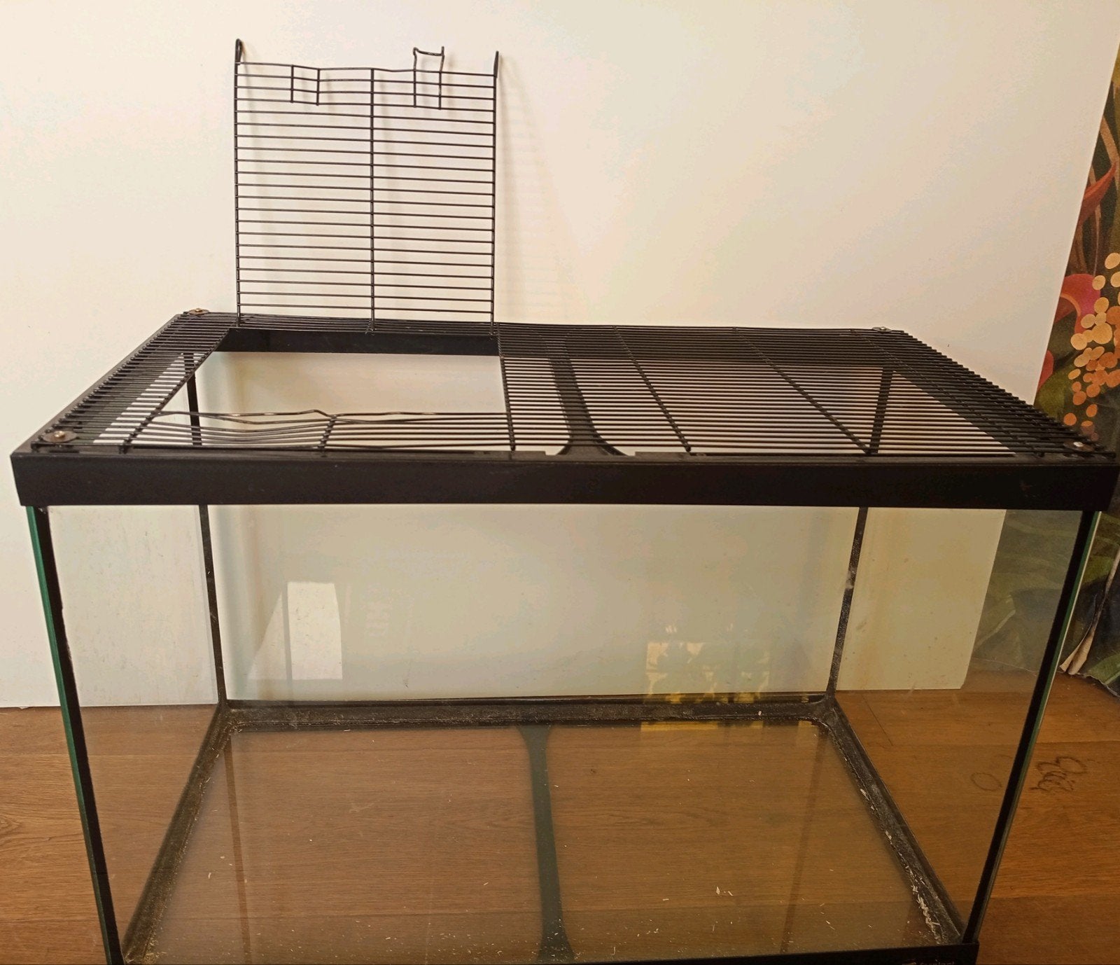 Enclos Ferplast pour petits rongeurs 60 cm, Animaux & Accessoires, Rongeurs & Lapins | Cages & Clapiers, Hamster, Niche, Moins de 60 cm