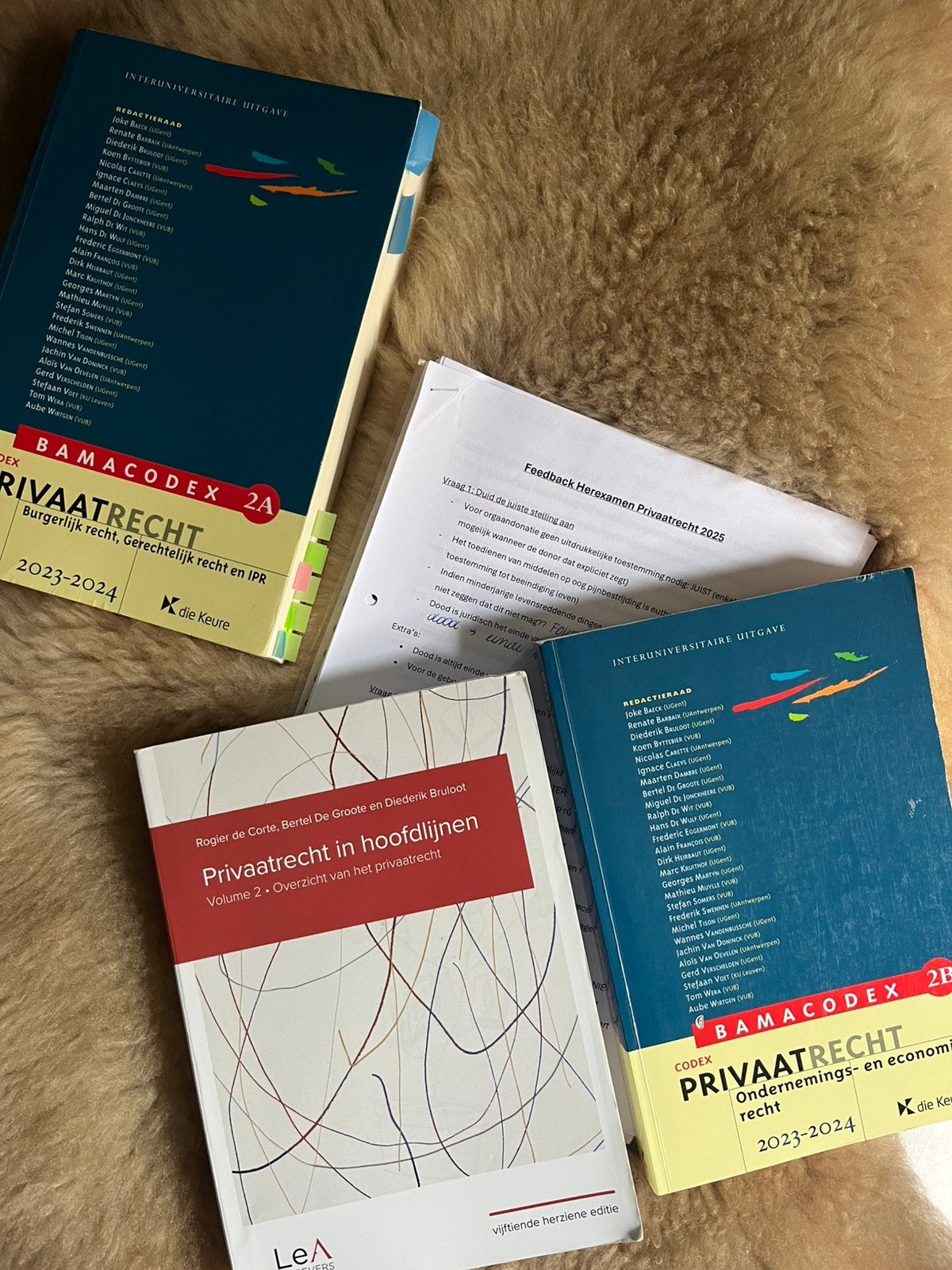 Cursus Privaatrecht in Hoofdlijnen (vol.2) + codex 2023-2024, Boeken, Ophalen, Zo goed als nieuw