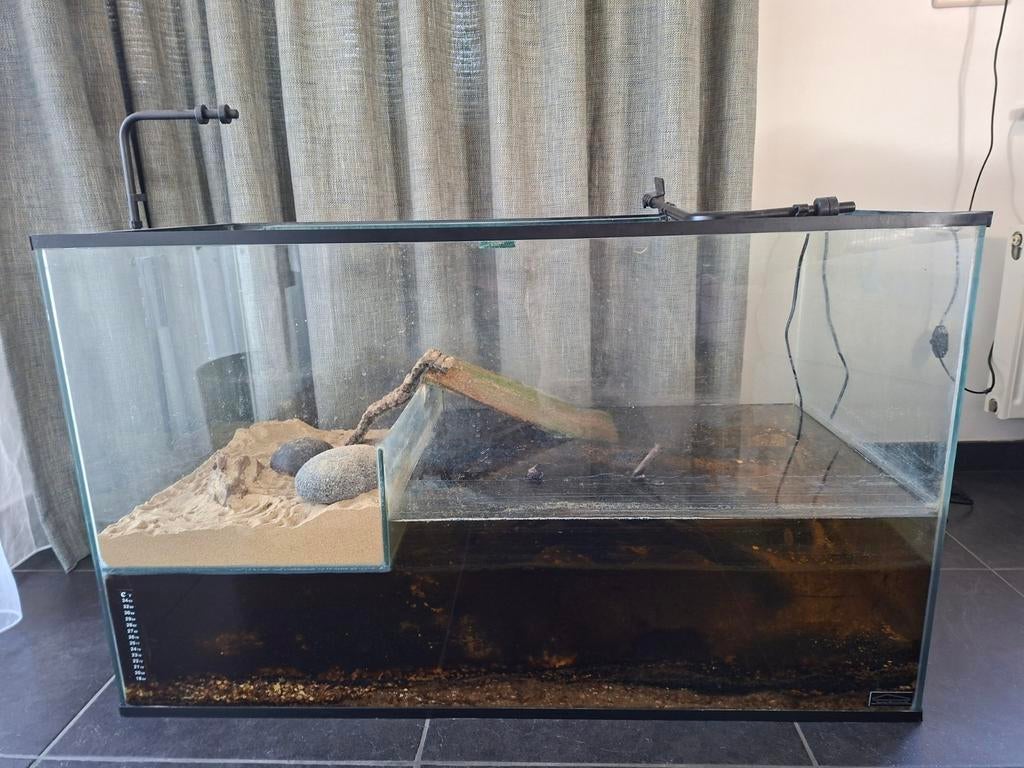 Schildpaddenbak, Animaux & Accessoires, Enlèvement