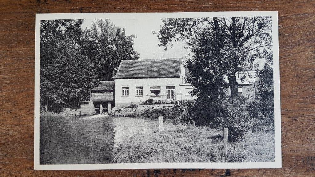 Postkaart Kasterlee Watermolen, Verzamelen, Ophalen of Verzenden, 1940 tot 1960, Ongelopen, Antwerpen