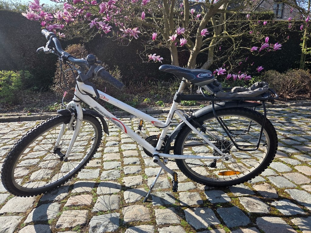 Fiets 24inch, Ophalen, Gebruikt, 24 inch