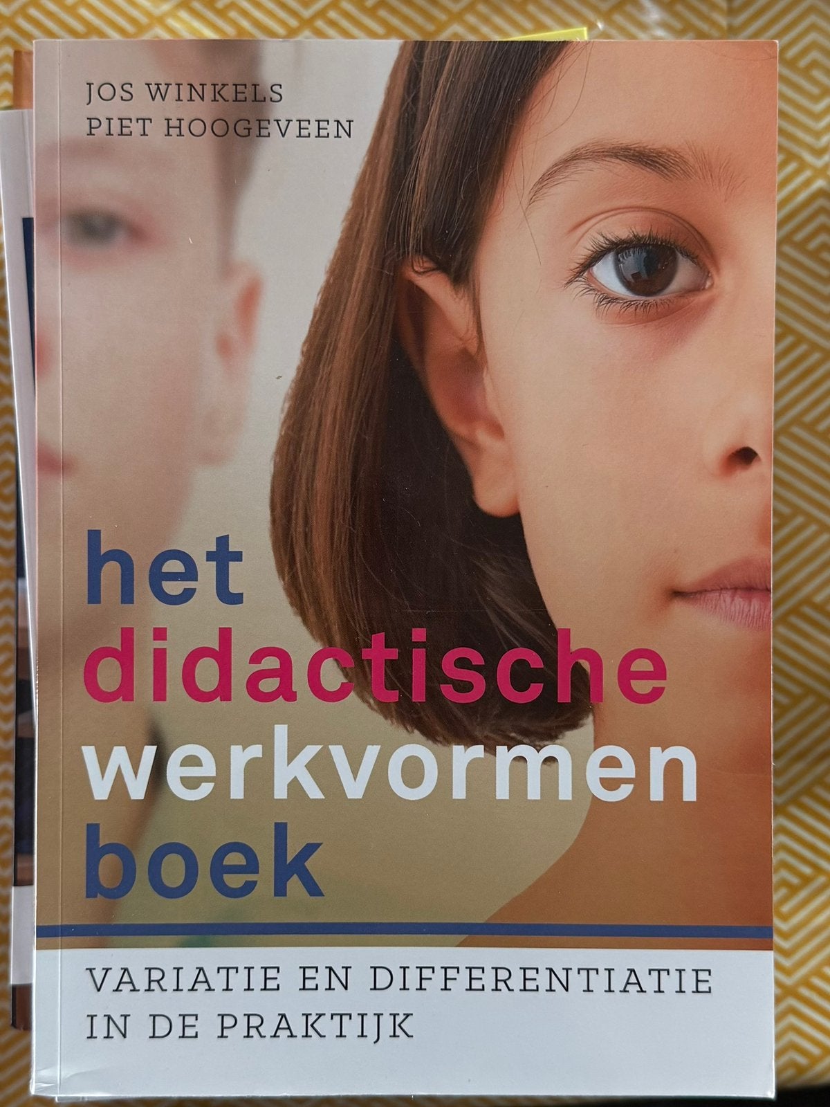 Het didactische werkvormen boek, Boeken, Ophalen, Zo goed als nieuw