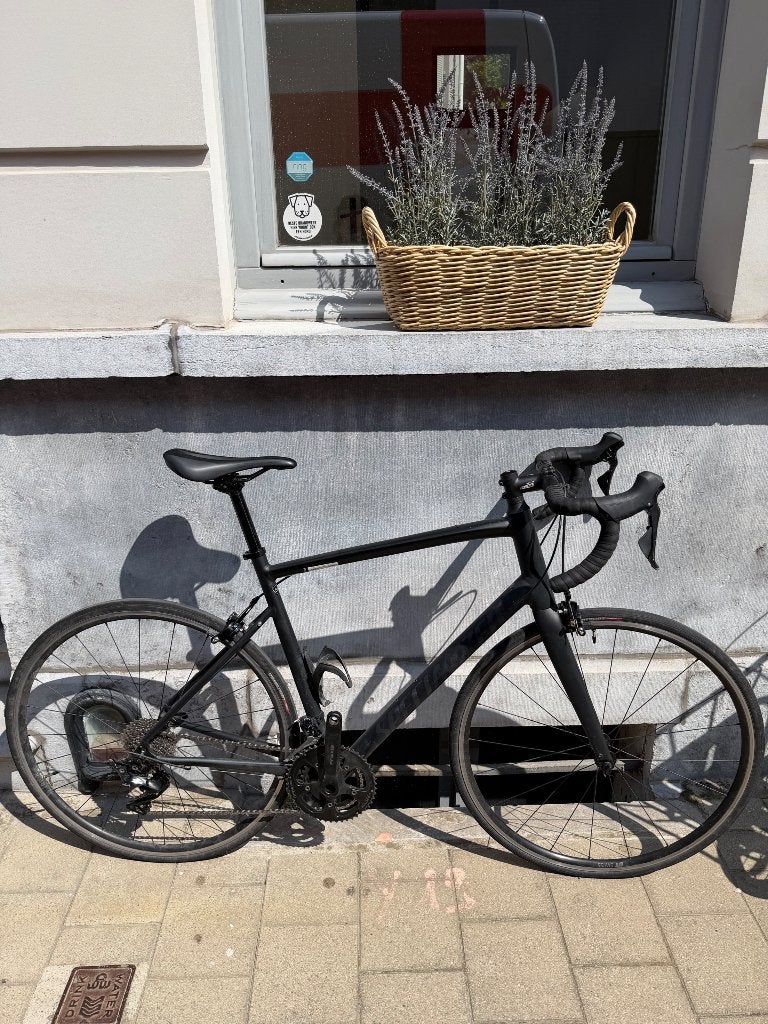 Koersfiets Specialized Allez, Gebruikt, Aluminium, 57 tot 61 cm, Meer dan 20 versnellingen