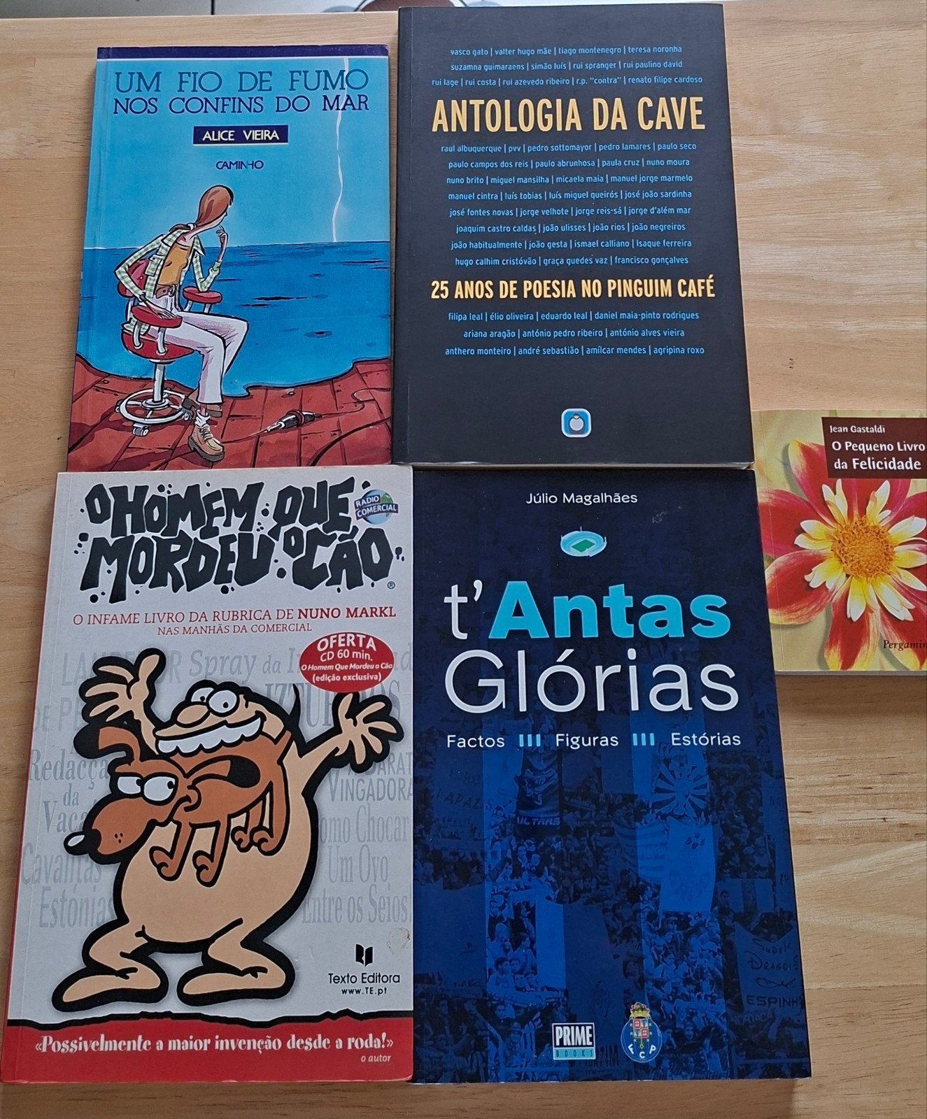 Lot de 5 livres en portugais, Livres, Langue | Langues Autre, Enlèvement ou Envoi, Utilisé, Portugees