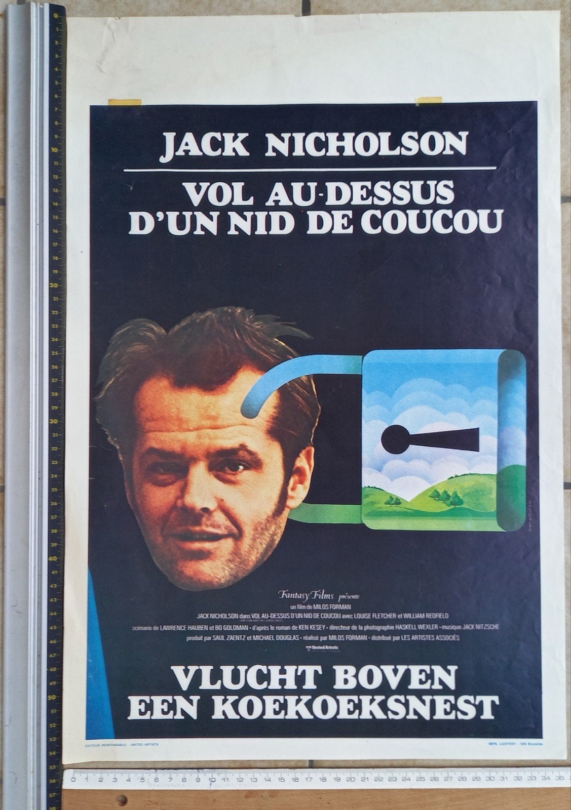 Affiche du film Vol au dessus d'un nid de coucouu, Enlèvement ou Envoi