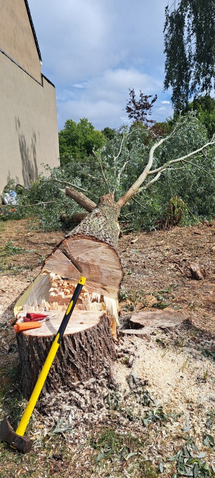 ik kom gratis omgewaaide bomen ruimen, Enlèvement ou Envoi