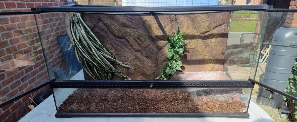 Terrarium Exo, Enlèvement, Éclairage