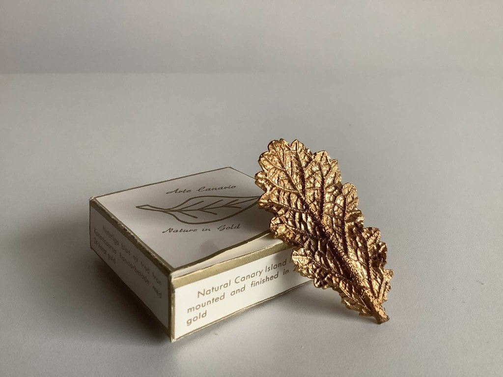 Broche vintage en forme de feuille des îles Canaries + boîte, Bijoux, Sacs & Beauté, Enlèvement ou Envoi, Or, Comme neuf, 4 à 7 cm