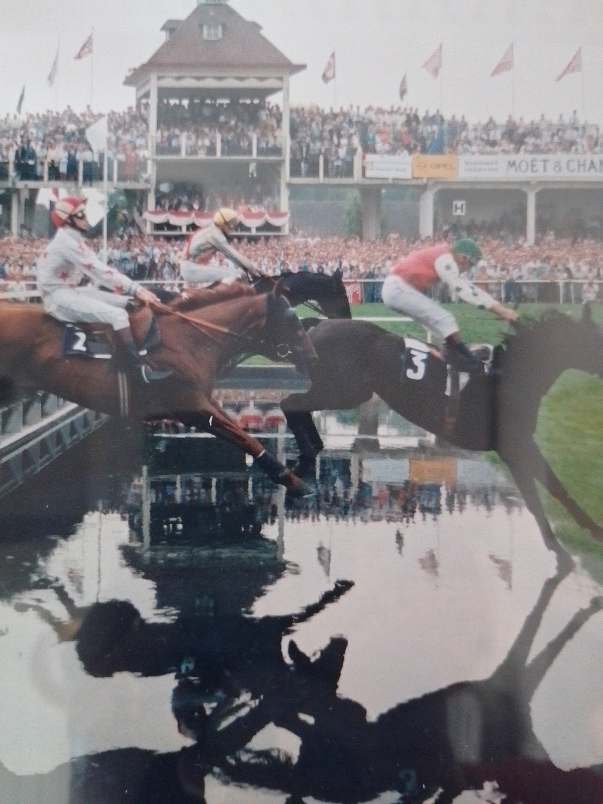 Originele foto Waregem paardenkoers, Ophalen of Verzenden, Foto