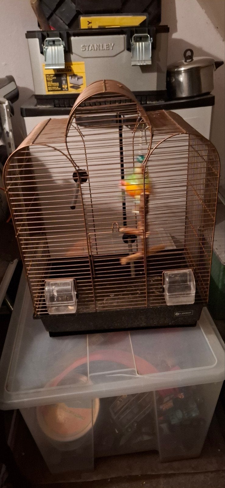 Vogelkooi. Zeer goede staat, Ophalen, Vogelkooi