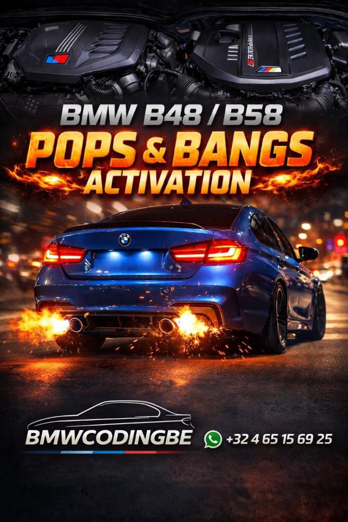 Activation Pops & Bangs BMW B48/B58, sans déverrouillage DME, Autos : Pièces & Accessoires, Moteurs & Accessoires, BMW, Neuf, Enlèvement