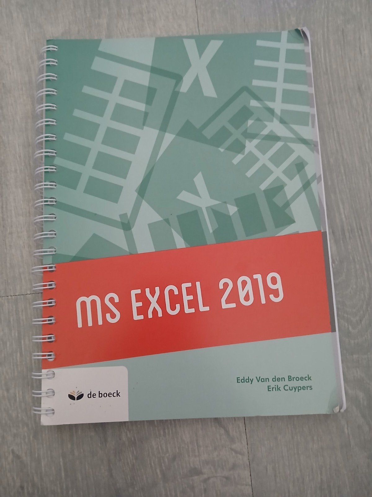 MS Excel 2019, Ophalen of Verzenden, Gelezen, Nederlands, Eddy