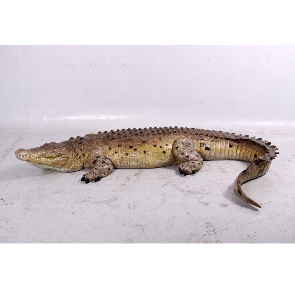Krokodil met gesloten bek, krokodil 3,43 meter, Ophalen, Nieuw