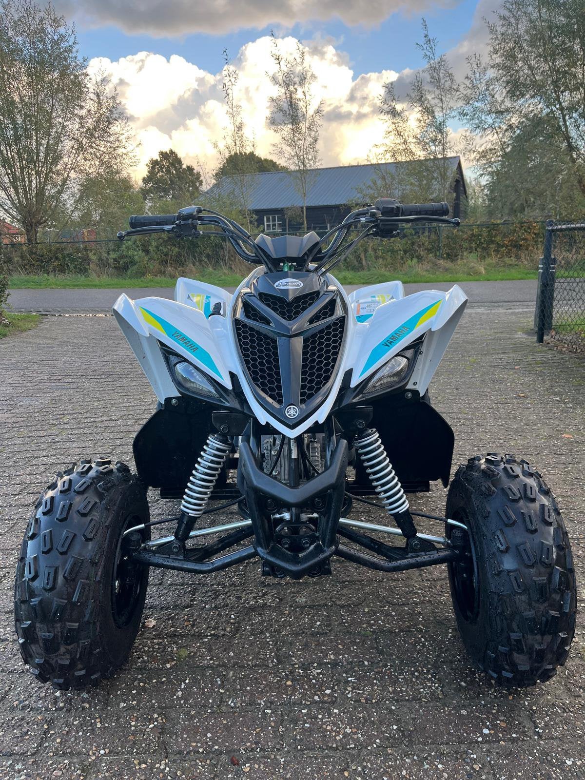 Yamaha RAPTOR 90cc, 1 cilinder, 90 cc