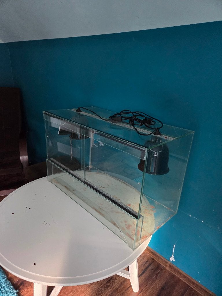 Terrarium, Dieren en Toebehoren, Ophalen, Zo goed als nieuw, Terrarium of Paludarium