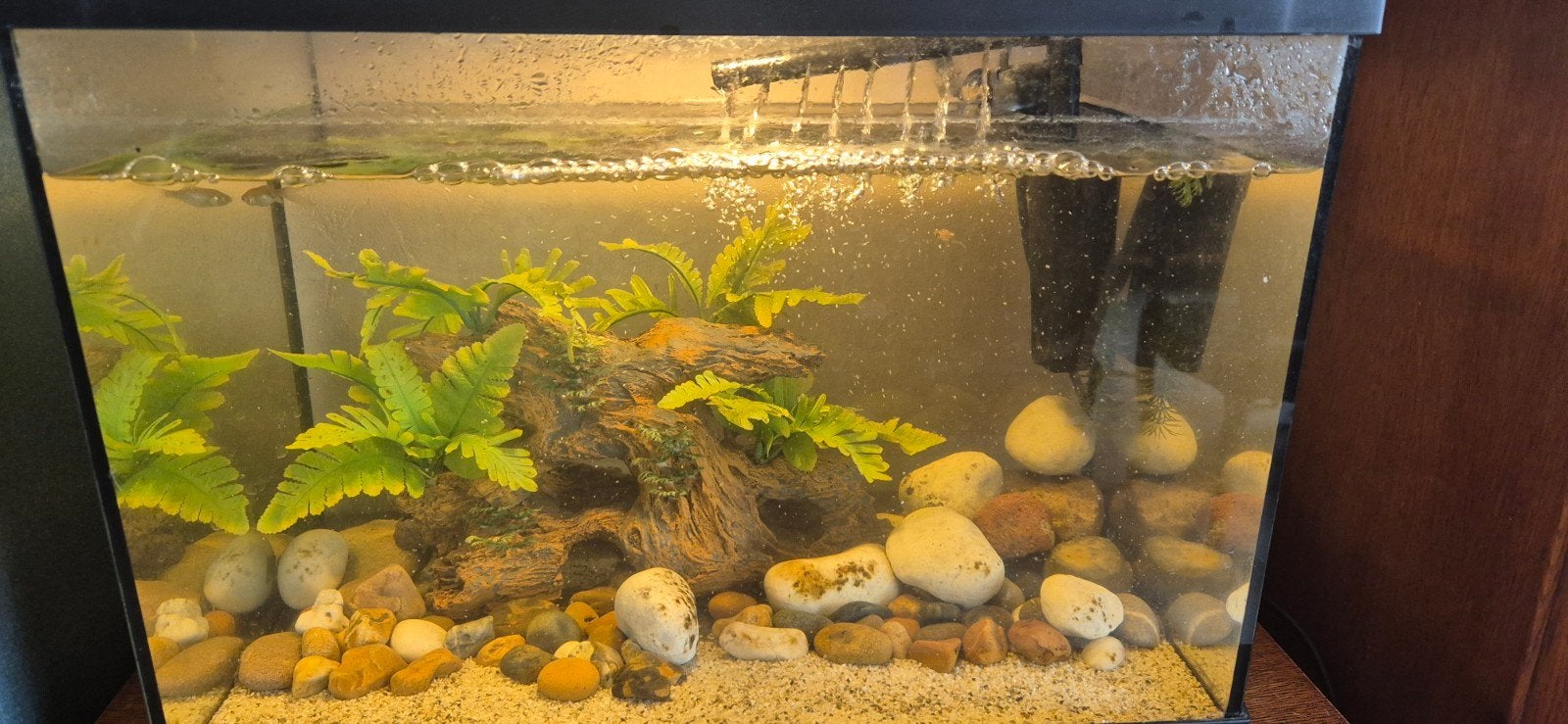 Aquarium 50l, Ophalen, Decoratie
