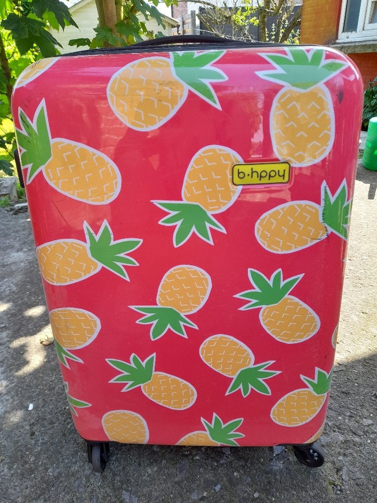 Trolley kind, Ophalen, 40 tot 60 cm, Wieltjes, Gebruikt