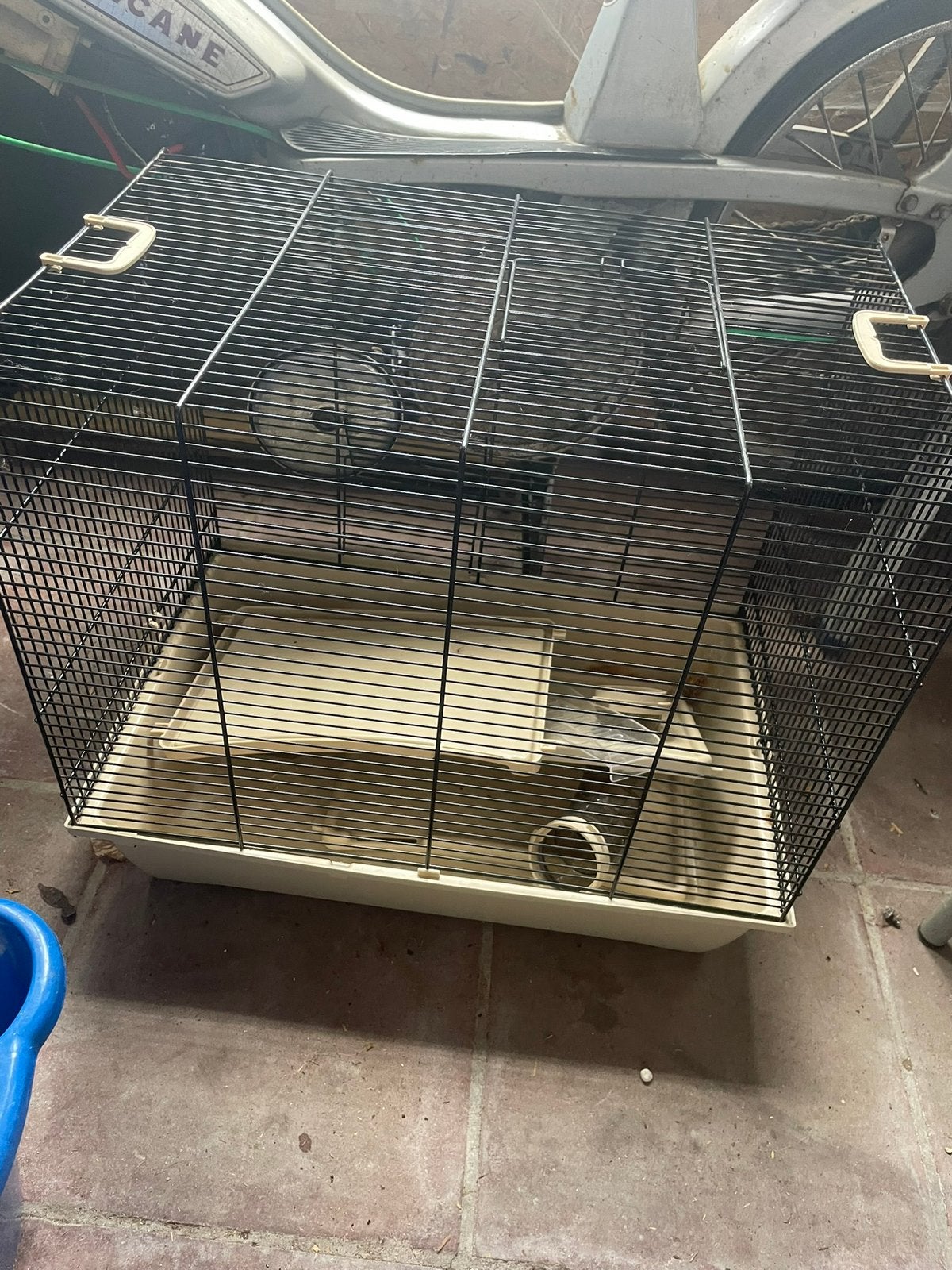 Groot hamsterkot, Enlèvement ou Envoi, Comme neuf