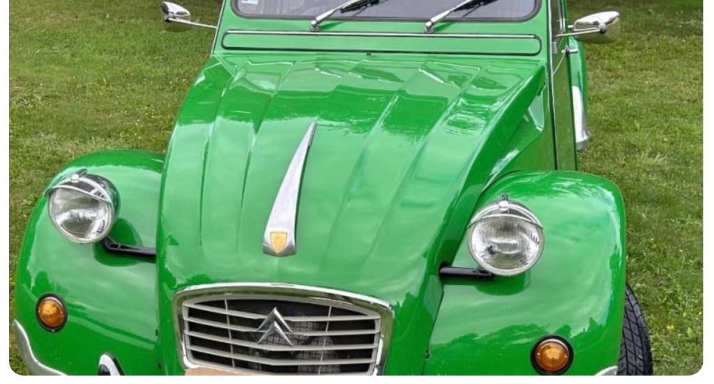 Citroen 2cv Dyane DS Mascotte ROBRI de Capot chrome Oldtimer, Enlèvement