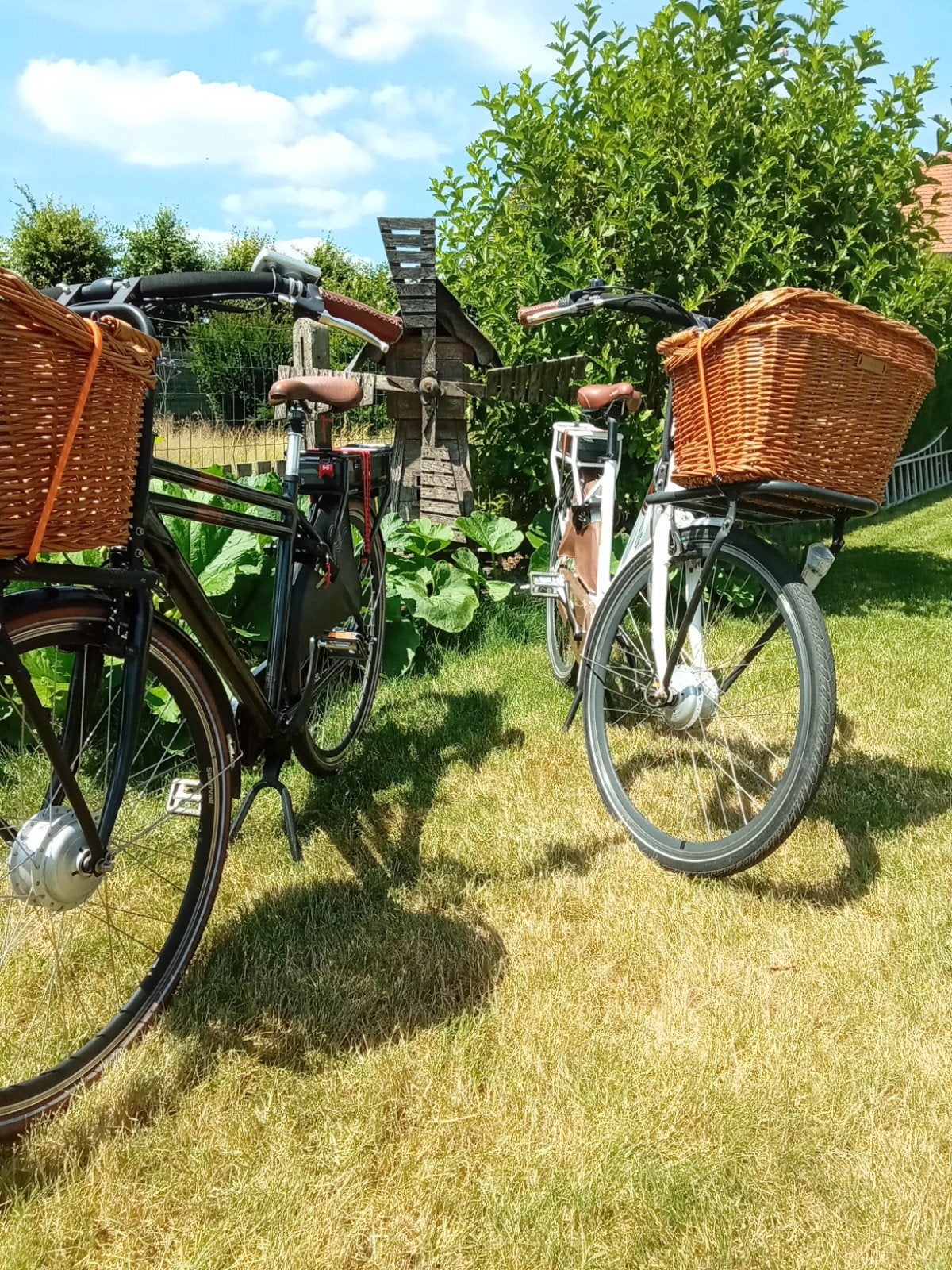 ️ ❇️2 E-BIKES transport fietsen zeer mooie met weinig kms, Gebruikt, 47 tot 51 cm, 30 tot 50 km per accu, Ophalen