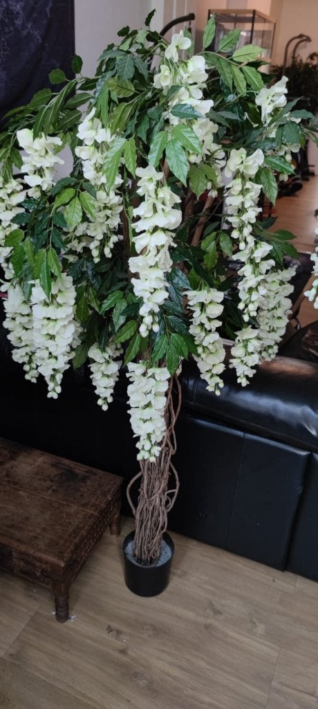 fausse plante, Huis en Inrichting, Ophalen, Overige soorten, Halfschaduw, In pot