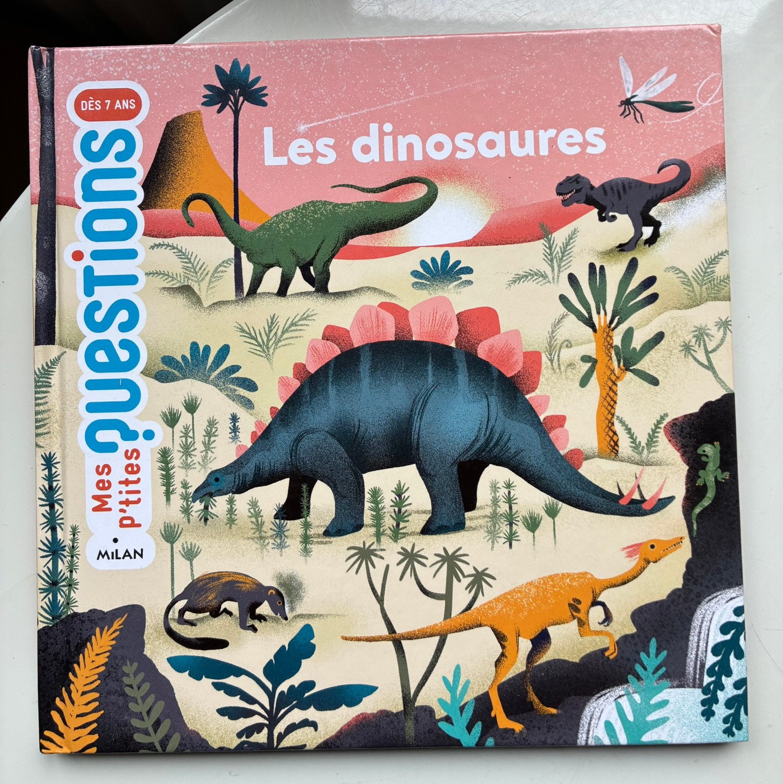 Livre sur les dinausores apd 7 ans, Enlèvement