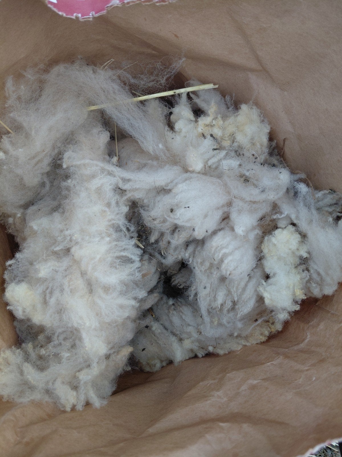 Wol gratis., Dieren en Toebehoren