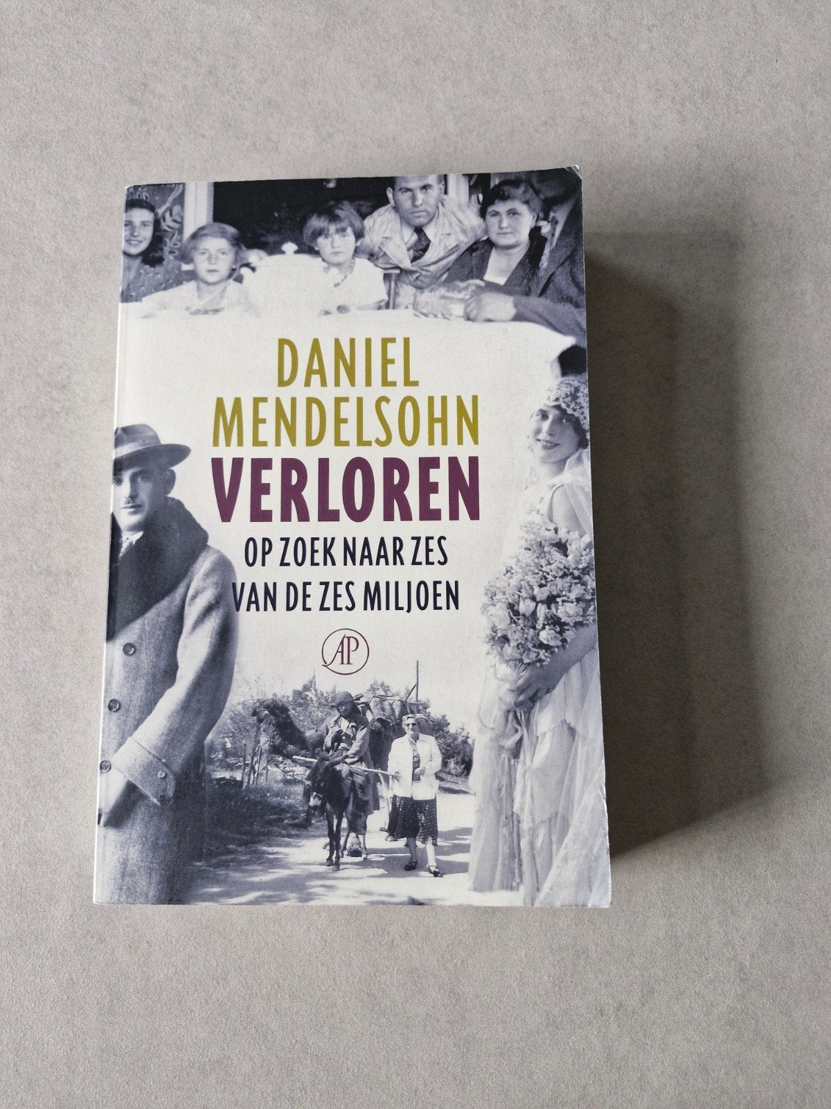 Verloren - Daniel Mendelsohn, 20e eeuw of later, Gelezen, Daniel Mendelsohn, Ophalen of Verzenden