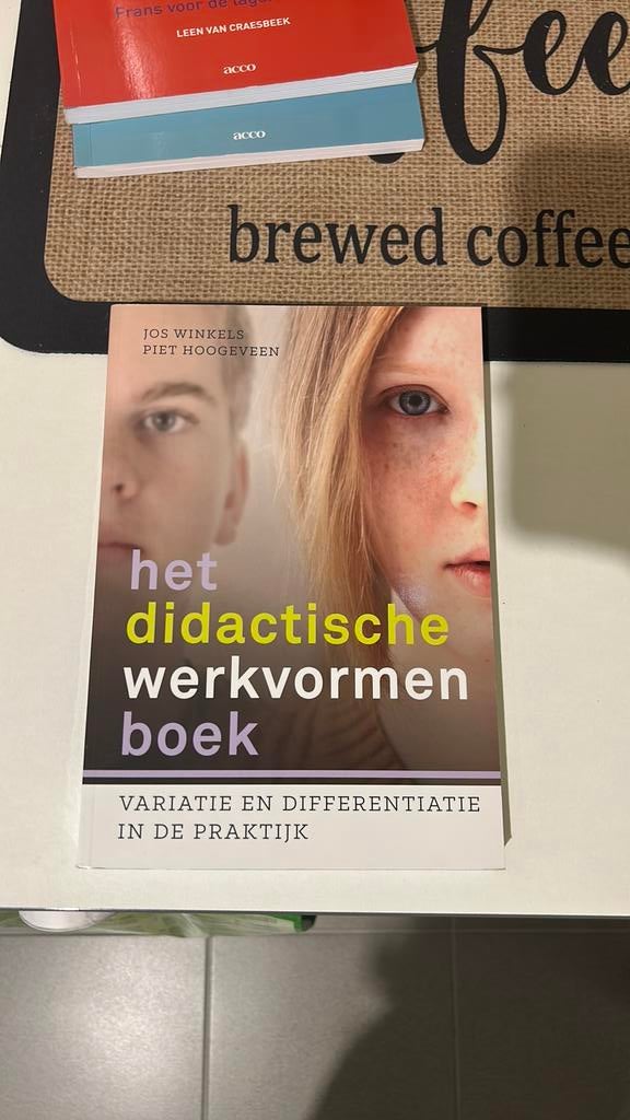 Piet Hoogeveen - Het didactische werkvormenboek, Boeken, Ophalen, Piet Hoogeveen; Jos Winkels