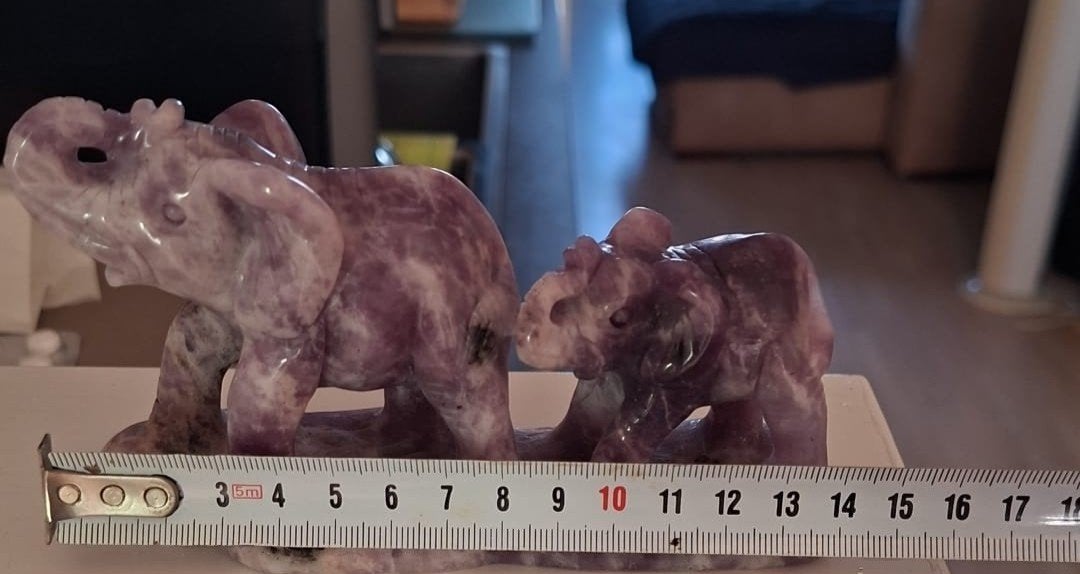 Amateur d'éléphants, Enlèvement ou Envoi